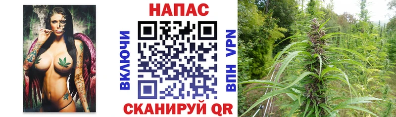 где продают наркотики  Большой Камень  ОМГ ОМГ ссылка  Бошки Шишки White Widow 